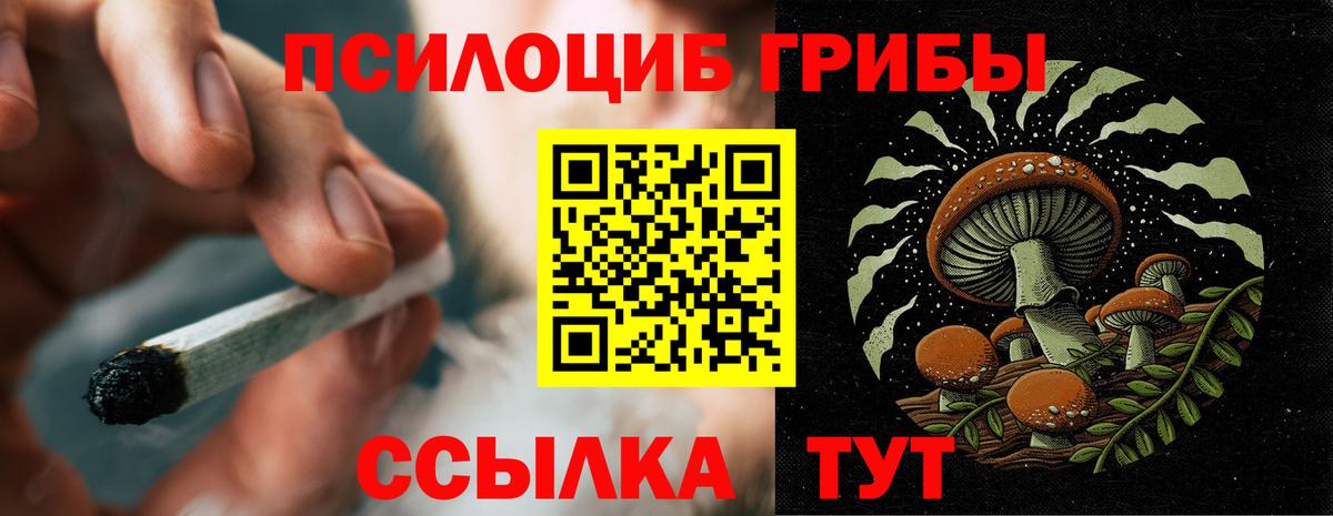 Псилоцибиновые грибы Magic Shrooms  Вход с VPN  Заречный 
